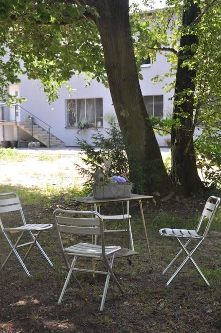 Gite St Nicolas Ancien Corps De Ferme Horticole Freyming-Merlebach Экстерьер фото